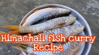 Himachali Fish 🐠🐋🐟Curry| Machlanzi| Binwa's Rohu Fish ( Chatrattu) curry Recipe☝