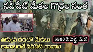 navipet bazar || నవీపేట్ మేకల సంత లో తక్కువ ధరకే మేకలు  @Farming school