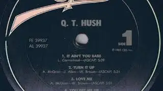 Q.T.HUSH -you get me up