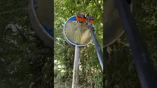 Why Does This Spot Demand Attention? #cleaning #home #viral #relatable