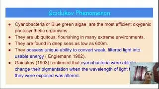 Gaidukov Phenomenon