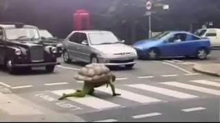 I'm speed