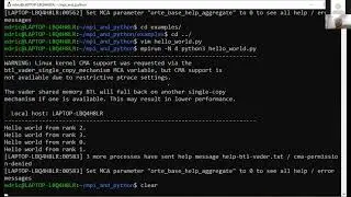 Parallel Programming with Python & MPI