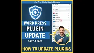 How to Update Plugin in WordPress in Hostinger