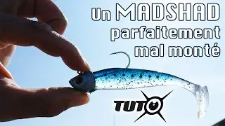 Parfaitement mal monter un Madshad par Pierre Guillard.