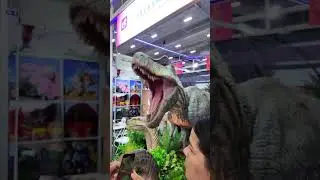 Лучший экспонат на кантонской выставке игрушек