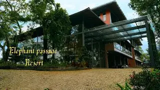Elephant Passage - Luxury Resort @ Anachal | Journey to Kerala💙🌳🌼🌥 - Part 3 ✨| Oh! My Ulagam