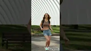 Video background remover using AI