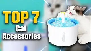 🤩Top 7 Best Cat Accessories In 2023। Best Cat Accessories On AliExpress🔥