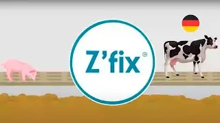 DE | Z&rsquo;fix&reg;