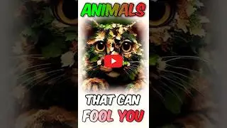 Masters of Disguise | Animals that can fool you any day! #animals
