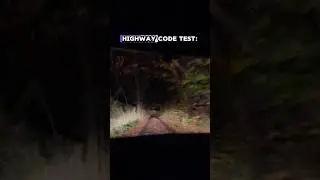 Экзамен по правилам дорожного движения: узкая полоса движения ночью! #темнота #вождение #машины #...