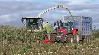 Maize 2020 ~ Claas 990 with Massey Ferguson & Fendt