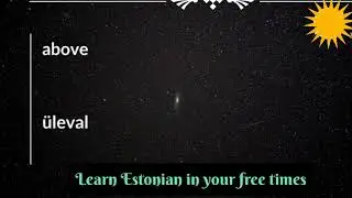Learn Estonian in your free time