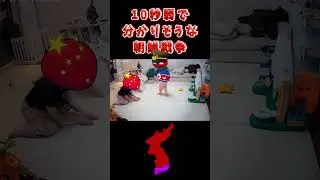 【ポーランドボール】10秒弱で分かりそうな朝鮮戦争