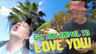 Exploring Jamaica: How To Connect With Nature Ft. Luis J Gomez & Ralph Sutton