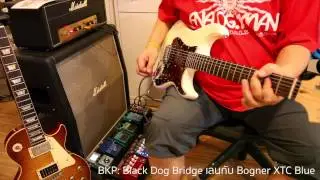 ทดสอบ Bare Knuckle Pickups รุ่น Black Dog Humbucker (Bridge Only)