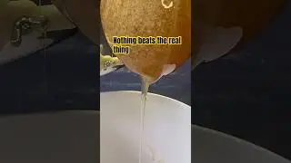 Raw Honey Filtering&mdash;Watch This Liquid Gold Pour! 🍯