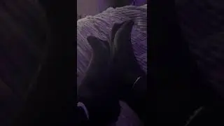 Feet finder sneak peek