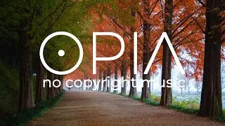 Autumn Cinematic Music | Buildup Fantasy Music | Cinematic Cello - Lexin Music