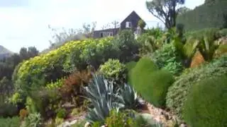 Birds birdsong at Larnach Castle, Dunedin Catlins, New Zealand (loud at end)