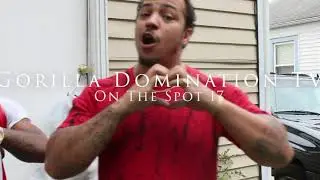 On The Spot 17 Wexico Swave