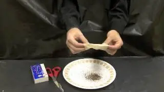 Floating Tea Bag