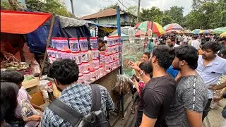 Galiff Street pet market| 📌 Fish,Birds,price update| 📌Betta fish price| Fish accessories| Kolkata 