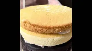 Mango Bravo of AliceHands
