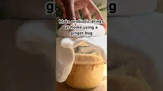 How to make a ginger bug using sugar or honey #ginger #gingerbug #probioticdrink #shortsfeed