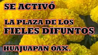 se activó la plaza de fieles difuntos en huajuapan #parati @destacar #tradiciones #fielesdifuntos