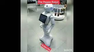 The Pepper Robot&nbsp;