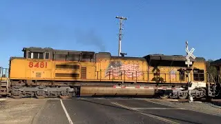 UP 8005 Z-Train Intermodal South - E. Armstrong Road Railroad Crossing, Lodi CA