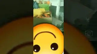 Ghost Detector
