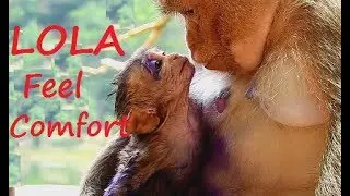 WARM EYES ! Baby Lola Painful Arm infected wound| Thank Mom comfort baby with warm eyes.
