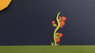 Heaven's Harvest Tomato Seed Giveaway!