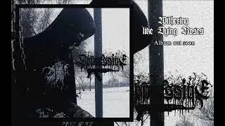 d&eacute;pressive - A Draconian Nightmare (DSBM | 2022)