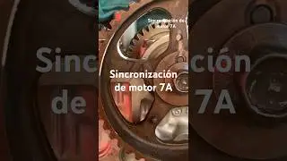 Sincronizaci&oacute;n de motor 7A Toyota corolla. #saludosamigoslikeycompartan🙏❤️