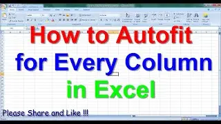 How to Auto-fit Every Column in Excel
