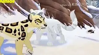 [AMV] Makucha and Badili - Lions Over All - The lion Guard