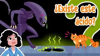¿Cómo derrite un ácido? (con experimento)