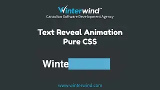 Text Reveal Animation with CSS