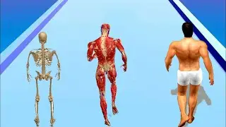 Human Run - Max Level Funny Gameplay Walkthrough