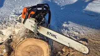 STIHL 064 FIRST TIME IN THE WOOD!! 