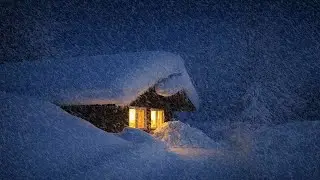Howling Wind & Blowing Snow | Blizzard Sound While Sleeping - Deep Sleep Sounds to Relax