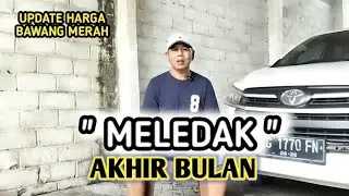 MELEDAK AKHIR BULAN | UPDATE HARGA BAWANG MERAH BJM CHANNEL 