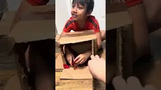 Guess what’s in the box - Pablo edition 