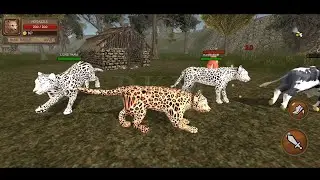 Ultimate Cheetah Simulator Games - Animal Games | Cheetah, Cow, Deer, Zebra, Boar, Camel Games