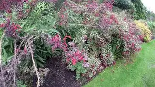 Lanhydrock Gardens and House October 2018