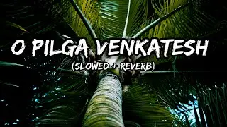 O Pilga Venkatesh | Slowed Reverb | Lofi Song 